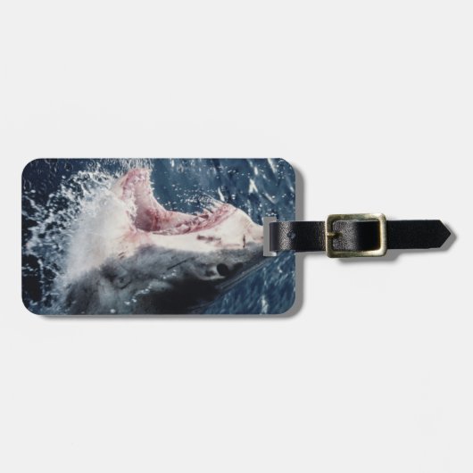 Erhöhte Schornsteine Gepäckanhänger (Vorderseite horizontal)