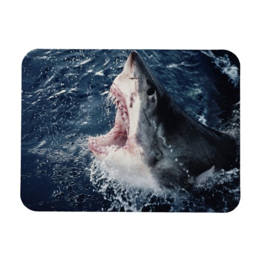 Erhöhte Schornsteine Magnet (Horizontal)