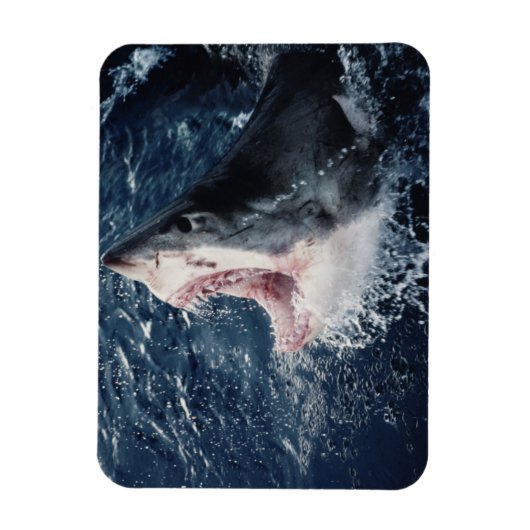 Erhöhte Schornsteine Magnet (Vertikal)