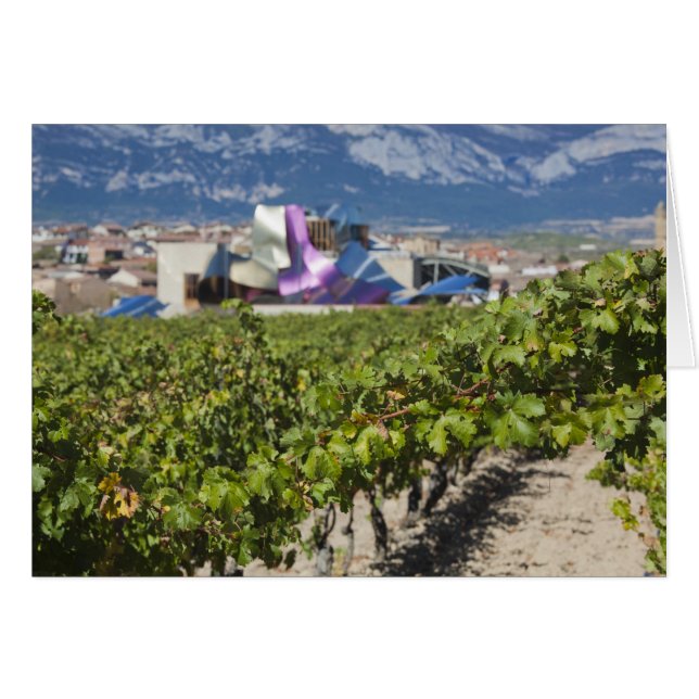 Erhöhte Stadtsicht und Hotel Marques de Riscal (Vorderseite (Horizontal))