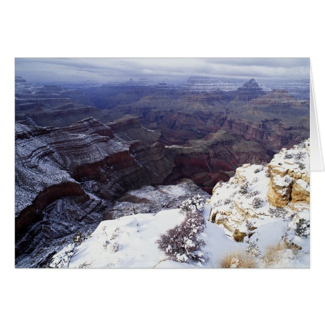 erhöhter Blick (Vorderseite (Horizontal))