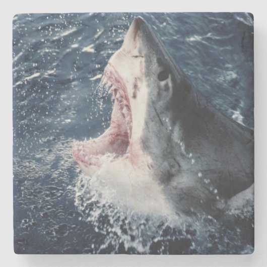 Erhöhter Haifischmund offen Steinuntersetzer (Vorderseite)