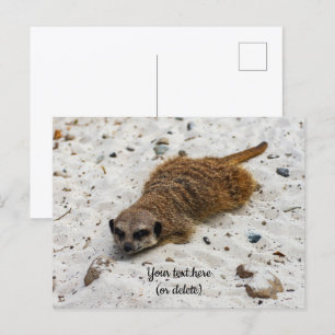 Erholender Erdmännchen-Grußkarte Postkarte