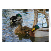 Erholung (Vorderseite (Horizontal))