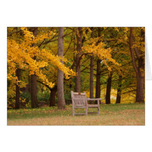 Erholung für eine Weile