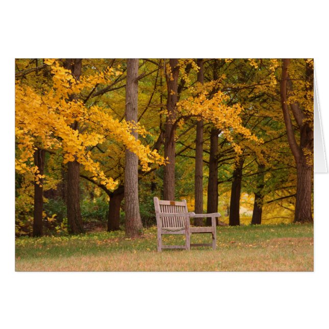 Erholung für eine Zeit (Vorderseite (Horizontal))