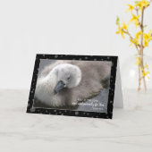 Erholung im Lord Young Swan Karte (Gelbe Blume)