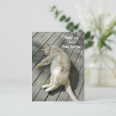 Erholung nach oben: Bessere Niedliche Katze wird b Postkarte (Stehend Vorderseite)