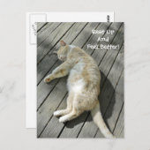 Erholung nach oben: Bessere Niedliche Katze wird b Postkarte (Vorne/Hinten)