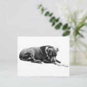 Erholung Pose Hund Postkarte (Stehend Vorderseite)