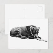 Erholung Pose Hund Postkarte (Vorne/Hinten)
