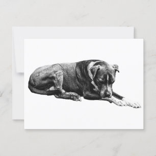 Erholung Pose Hund Postkarte