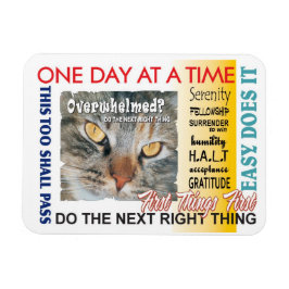 Erholung-Slogans Magnet