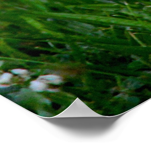 Erholung Tomorrow Poster (Ecke)