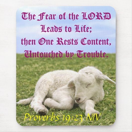 Erholungs-Inhalt. II Mousepad (Vorne)