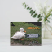 Erholungs-Raum-Ente Postkarte (Stehend Vorderseite)
