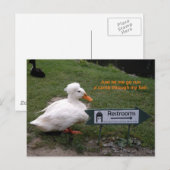 Erholungs-Raum-Ente Postkarte (Vorne/Hinten)