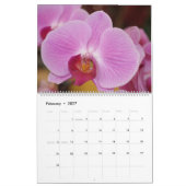 Eric Asbery Fotografy Kalender (Feb 2027)