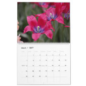 Eric Asbery Fotografy Kalender (Mär 2027)