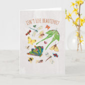 Eric Carle | Ist das Leben nicht schön? Karte (Gelbe Blume)