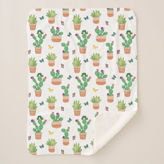 Eric Carle | Raupe, Kaktus und Schmetterling Pa Sherpadecke (Vorderseite)