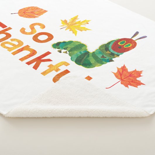 Eric Carle | So dankbar Raupe Sherpadecke (3/4)