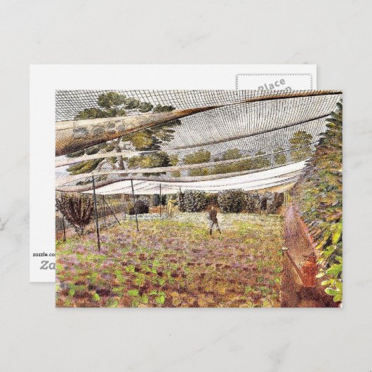 Eric Ravilious Art, Strawberry Nets Postkarte (Vorne/Hinten)