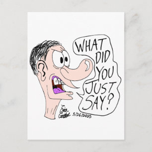 Erica Crooks Comics - Was hast du gerade gesagt ? Postkarte