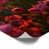 Erica Range Poster - Bloom wo Sie gewurzelt sind (Ecke)