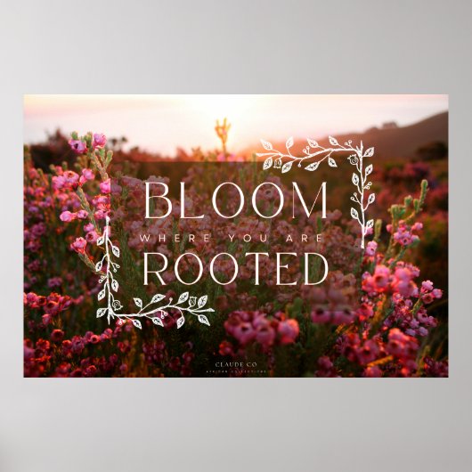 Erica Range Poster - Bloom wo Sie gewurzelt sind (Vorne)