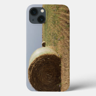 Erick, Oklahoma, USA - Route 66 Case-Mate iPhone Hülle