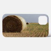 Erick, Oklahoma, USA - Route 66 Case-Mate iPhone Hülle (Rückseite (Horizontal))