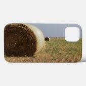 Erick, Oklahoma, USA - Route 66 Case-Mate iPhone Hülle (Rückseite (Horizontal))