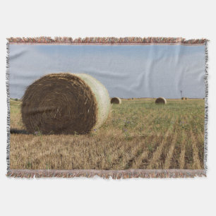 Erick, Oklahoma, USA - Weg 66 Decke
