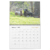 Eridox 2016 Dackel-Kalender Kalender (Feb 2027)