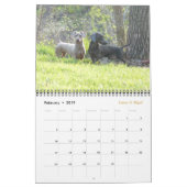 Eridox 2016 Dackel-Kalender Kalender (Feb 2019)
