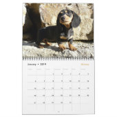 Eridox 2016 Dackel-Kalender Kalender (Jan 2019)