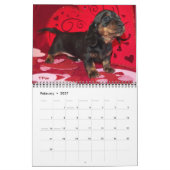Eridox-Dackeln 2020-Kalender Kalender (Feb 2027)