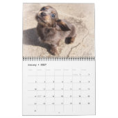 Eridox-Dackeln 2020-Kalender Kalender (Jan 2027)