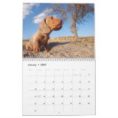 Eridox-Dackeln 2022-Kalender Kalender (Jan 2027)