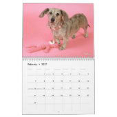 Eridox-Dackeln 2022-Kalender Kalender (Feb 2027)