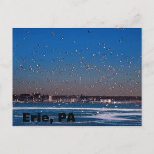 Erie, PA skyline Postkarte