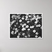 Erigeron Daisies Canvas Print Leinwanddruck (Vorderseite)