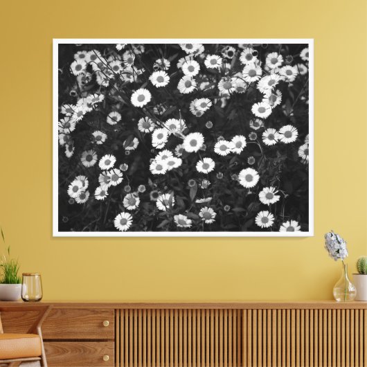 Erigeron Daisies Canvas Print Leinwanddruck (Insitu (Wohnzimmer))
