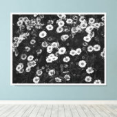 Erigeron Daisies Canvas Print Leinwanddruck (Insitu (Holzboden))
