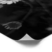 Erigeron Daisies Poster (Ecke)