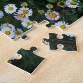 Erigeron Daisies Puzzle (Seite)