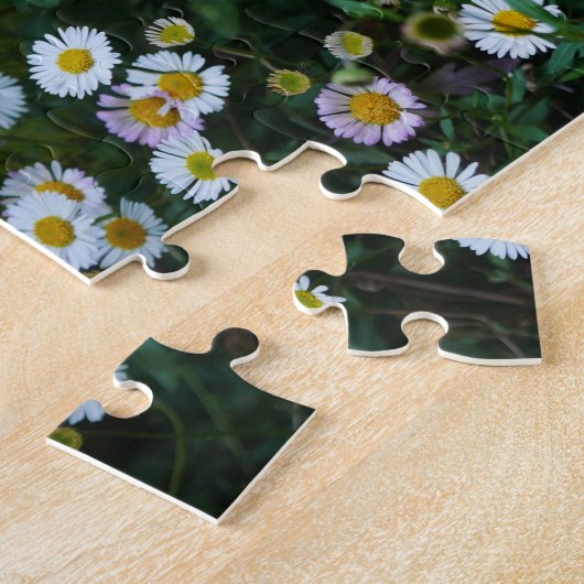 Erigeron Daisies Puzzle (Seite)
