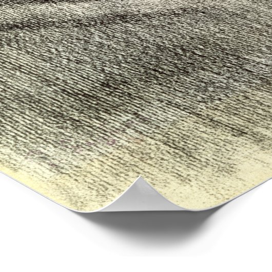 Erik Satie c.1886 Poster (Ecke)