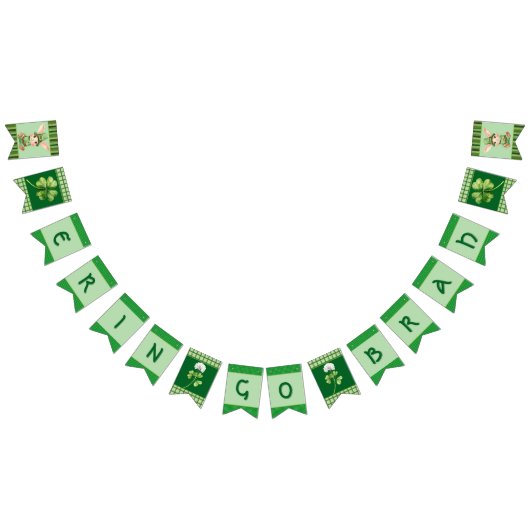 Erin Go Brah Banner (Alle)